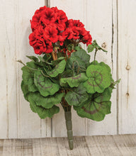 Load image into Gallery viewer, Geranium Bush 15"
