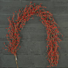 Load image into Gallery viewer, Red Pip Berry Garland
