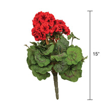 Load image into Gallery viewer, Geranium Bush 15"
