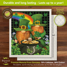 Load image into Gallery viewer, Irish Gnomes Swedish Dishcloth
