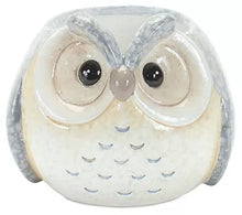Load image into Gallery viewer, Terra Cotta Owl Planter

