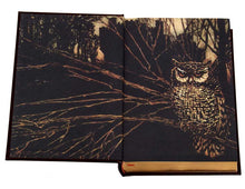 Load image into Gallery viewer, Grimm's Complete Fairy Tales by Jacob Grimm
