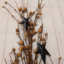 Load image into Gallery viewer, Large and Small Pip Berry With Star Pick
