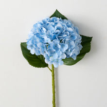 Load image into Gallery viewer, Freshcut® Vivid Blue Hydrangea
