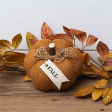 Load image into Gallery viewer, Rust Pumpkin with Fabric Tag
