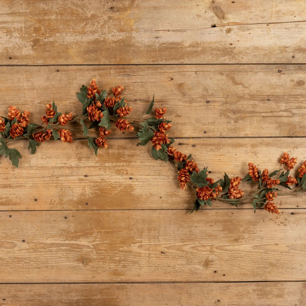 Brown Hops Bush