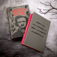 Load image into Gallery viewer, Selected Works of Edgar Allan Poe by Edgar Allan Poe
