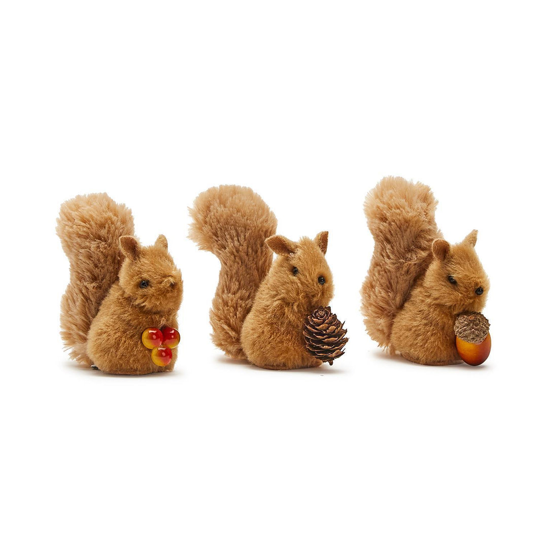 Squirrel Clip-on