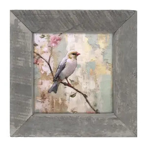 White Bird with Blue Wings Framed Print