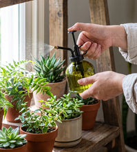 Load image into Gallery viewer, Olive Green Plant Mister
