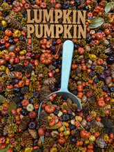 Load image into Gallery viewer, Lumpkin Pumpkin Handcrafted Potpourri. 4 cups

