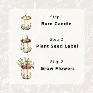 Edith, Sandalwood + Vanilla | Growing Candle