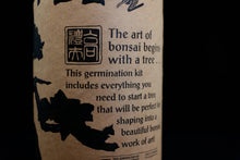 Load image into Gallery viewer, Bonsai Tree | Seed Grow Kit
