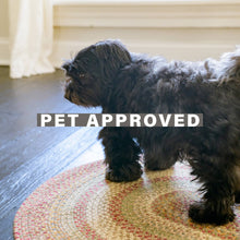Load image into Gallery viewer, Harvest Premium Non-Shedding Jute Braided Rugs, Multicolor
