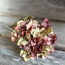 Load image into Gallery viewer, Blush Hydrangea Floral Stem
