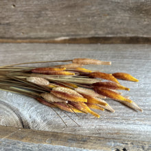 Load image into Gallery viewer, Autumn Wisp Pick
