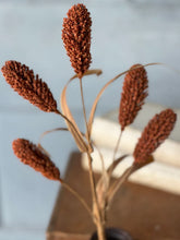 Load image into Gallery viewer, Bulrush Reed
