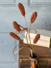 Load image into Gallery viewer, Bulrush Reed
