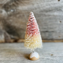 Load image into Gallery viewer, Frosted Small Bottlebrush Tree
