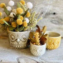 Load image into Gallery viewer, Ceramic Owl Vases
