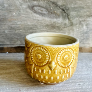 Ceramic Owl Vases