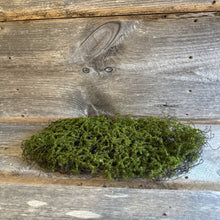 Load image into Gallery viewer, Decorative Moss
