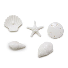 Load image into Gallery viewer, Shell Figurine in Matchbox
