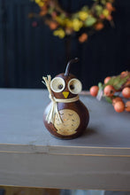 Load image into Gallery viewer, Professor Owl - Miniature Gourd
