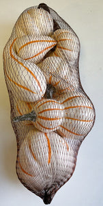 Gourd and Pumpkin Assorted Bag