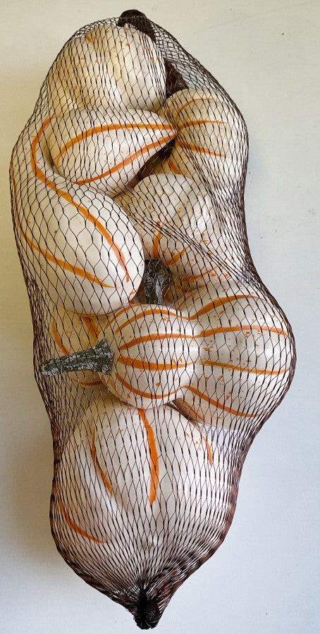 Gourd and Pumpkin Assorted Bag
