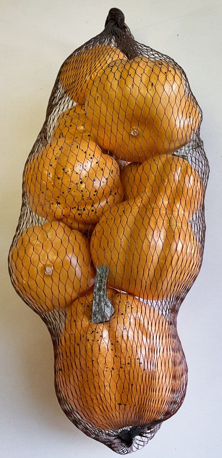 Pumpkin and Gourd Assorted Bag