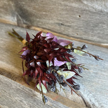 Load image into Gallery viewer, Dried Oat Bushes
