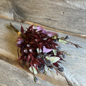 Dried Oat Bushes