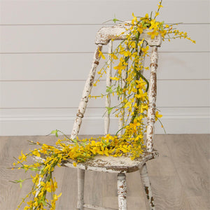 Yellow Forsythia Floral Collection
