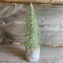 Load image into Gallery viewer, Foxtail Glistening Pine Trees

