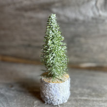 Load image into Gallery viewer, Foxtail Glistening Pine Trees
