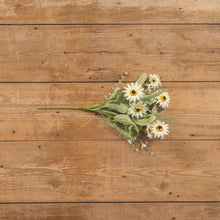 Load image into Gallery viewer, 19" Cream Zinnia Bush

