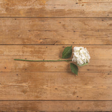 Load image into Gallery viewer, 24" White Hydrangea Spray
