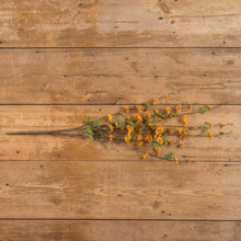 Load image into Gallery viewer, Orange Daisy Branch

