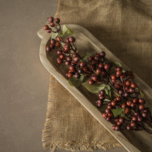 Load image into Gallery viewer, Brown Rose Hips Spray
