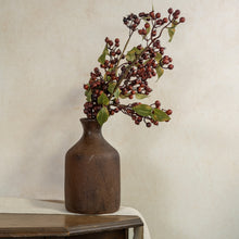 Load image into Gallery viewer, Brown Rose Hips Spray
