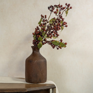 Brown Rose Hips Spray