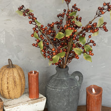 Load image into Gallery viewer, Brown Rose Hips Spray
