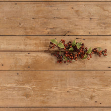 Load image into Gallery viewer, Brown Rose Hips Spray
