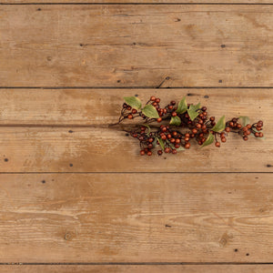 Brown Rose Hips Spray