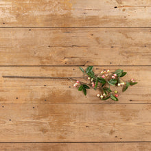 Load image into Gallery viewer, 31" Pink Berry Spray
