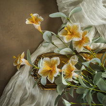Load image into Gallery viewer, Yellow Wild Honeysuckle Bush
