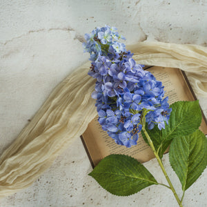 Purple Cone Hydrangea Stem