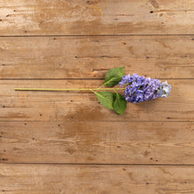 Load image into Gallery viewer, Purple Cone Hydrangea Stem
