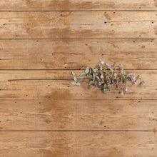 Load image into Gallery viewer, 41&quot; Mixed Purple Fittonia Spray
